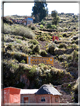 foto Lago Titicaca